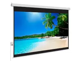 Screen Motorized Lucky Fine Fabric 13.1 x7.4 Feet Projector screen