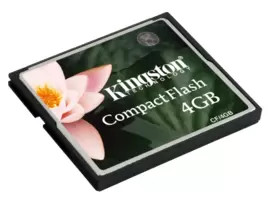 Kingston CF 4GB FE Compact Flash Memory Card