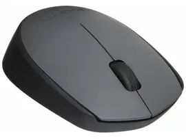 Logitech WIRELESS MOUSE M170