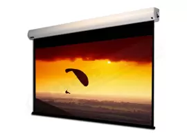 Lucky Fine Fabic Motorized 7.3x4.1  Projector Screen