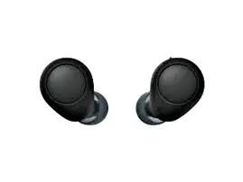 Sony Truly Wireless Earbuds WFC700