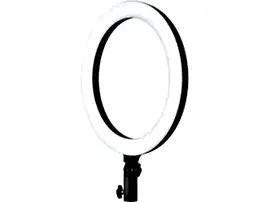 Godox Ring Light LR120